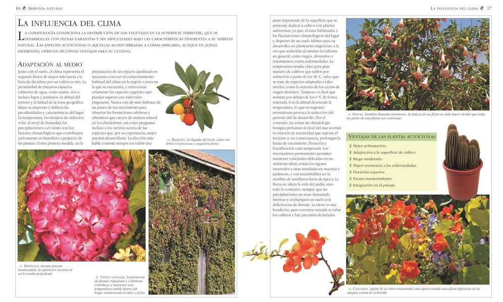 El jardin ecologico