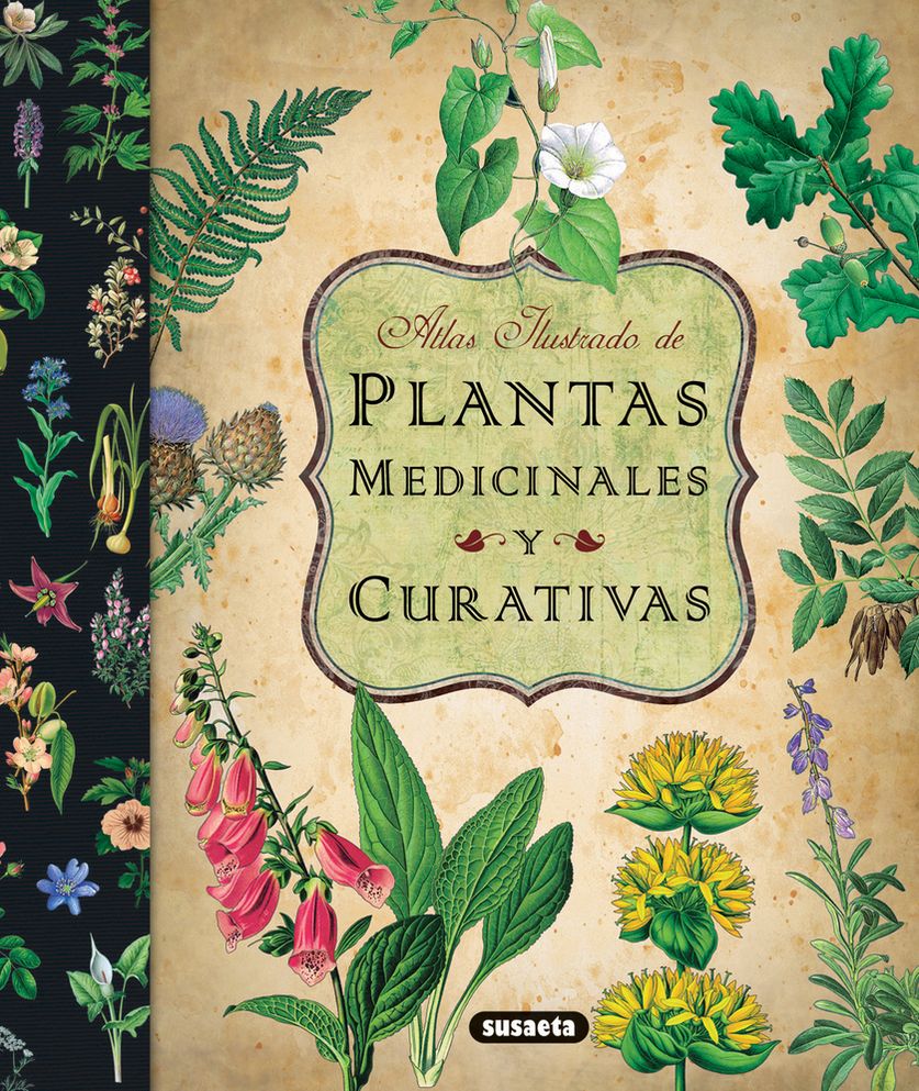 Atlas ilustrado de plantas medicinales y curativas