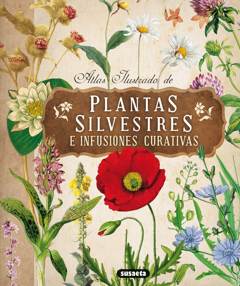 Atlas ilustrado de plantas silvestres e infusiones curativas