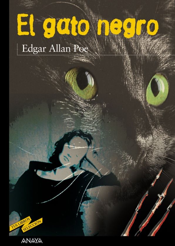 El gato negro