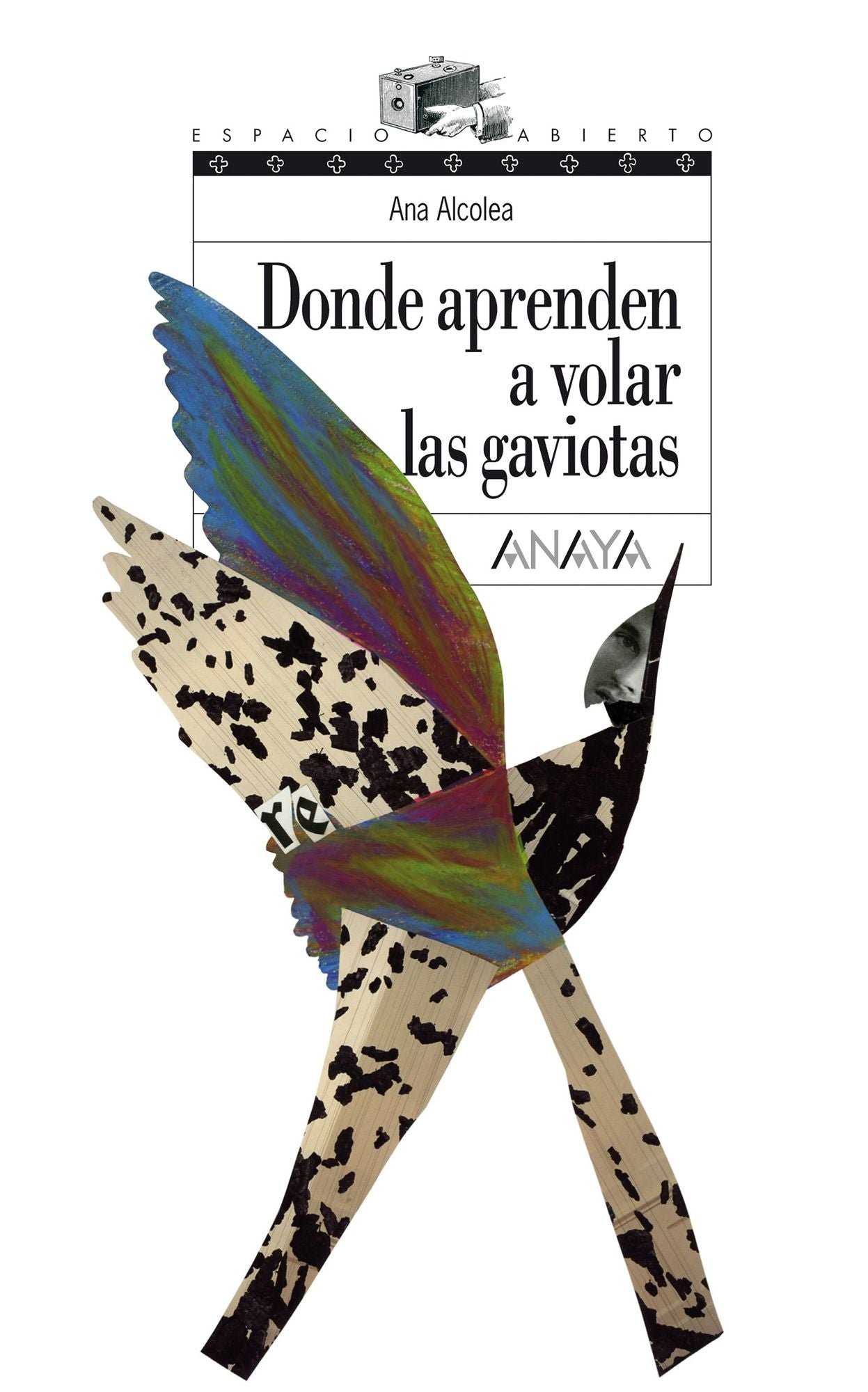 Donde aprenden a volar las gaviotas