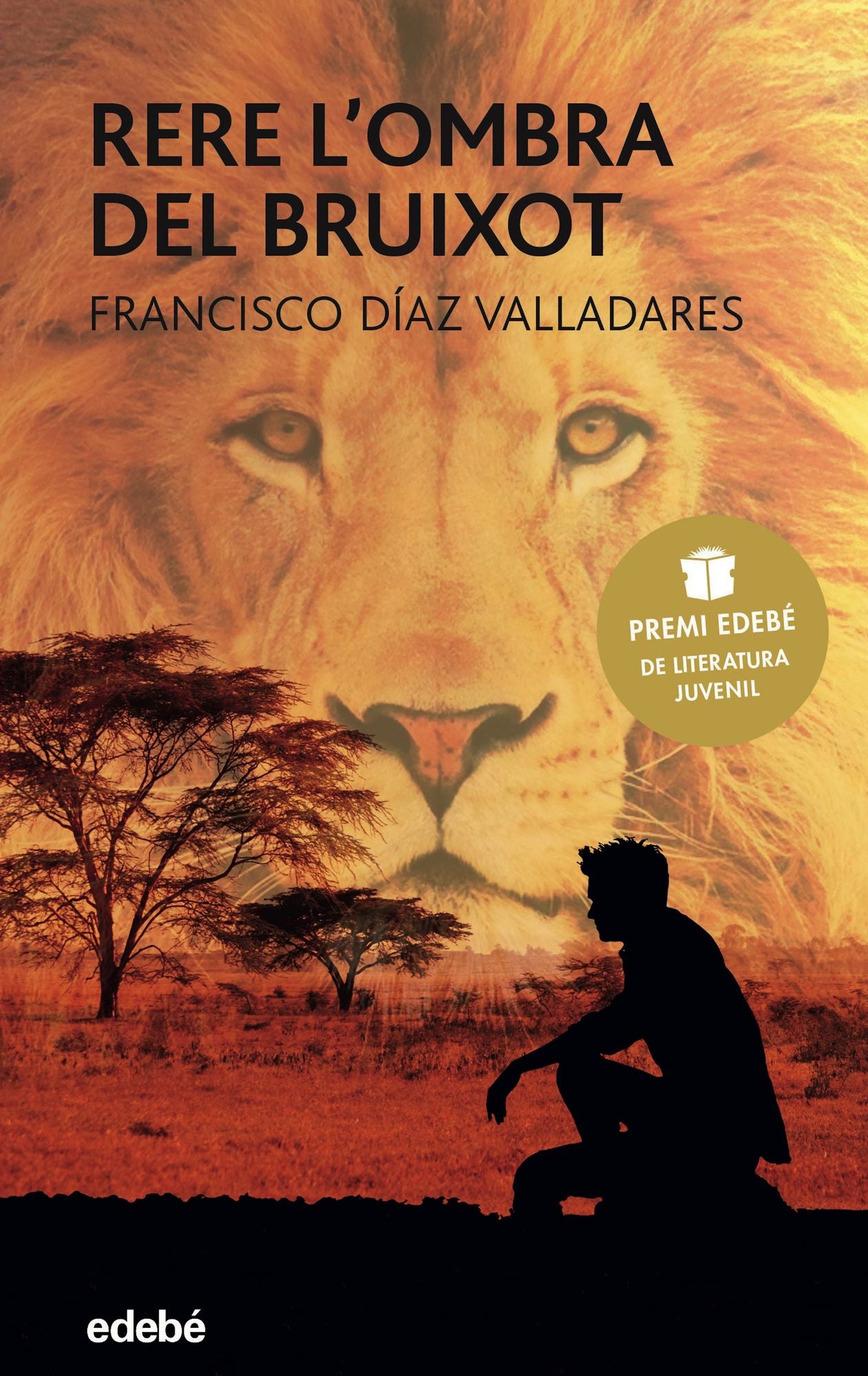 Rere l'ombra del bruixot (Premi Edebé Juvenil 2017)