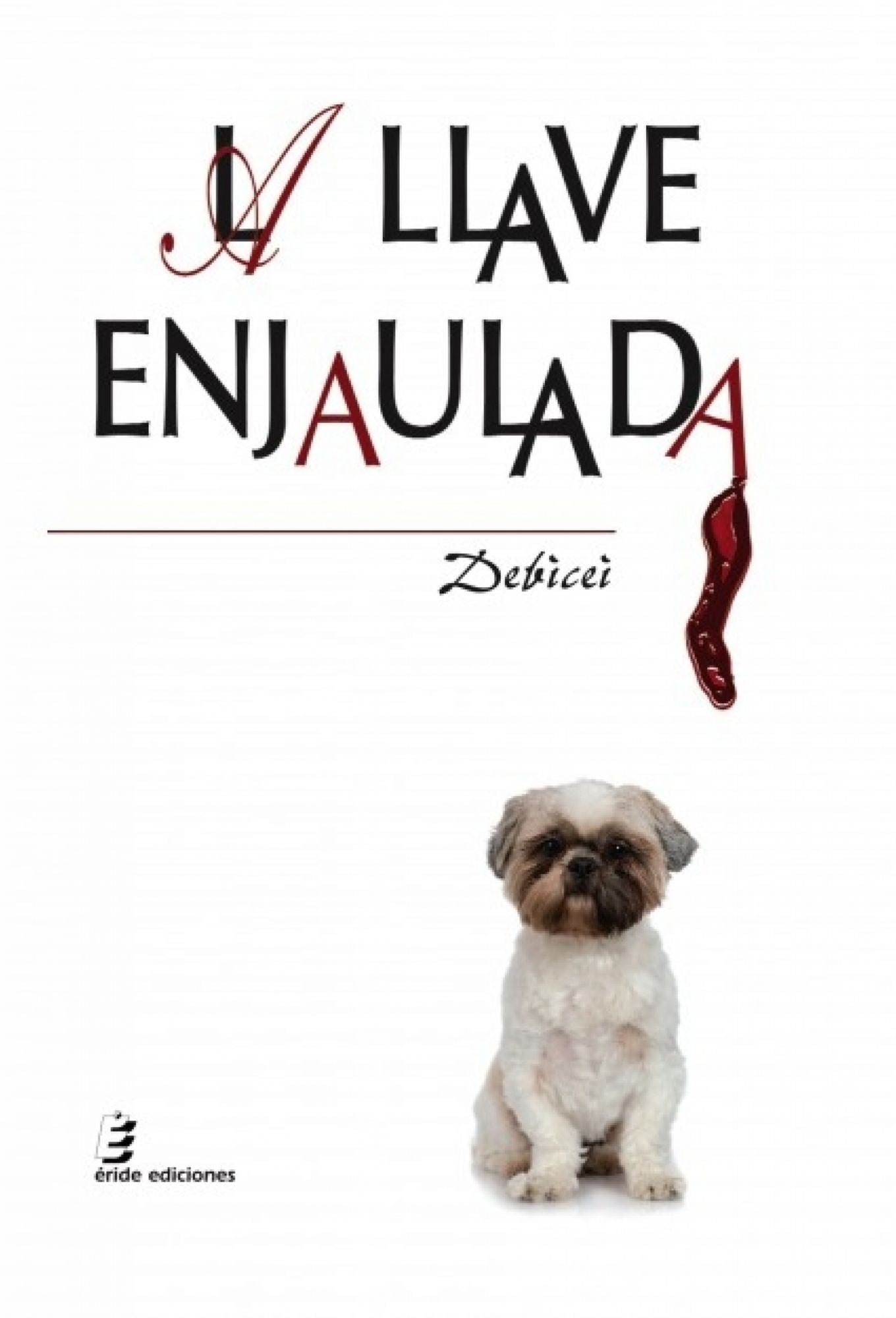 LA LLAVE ENJAULADA