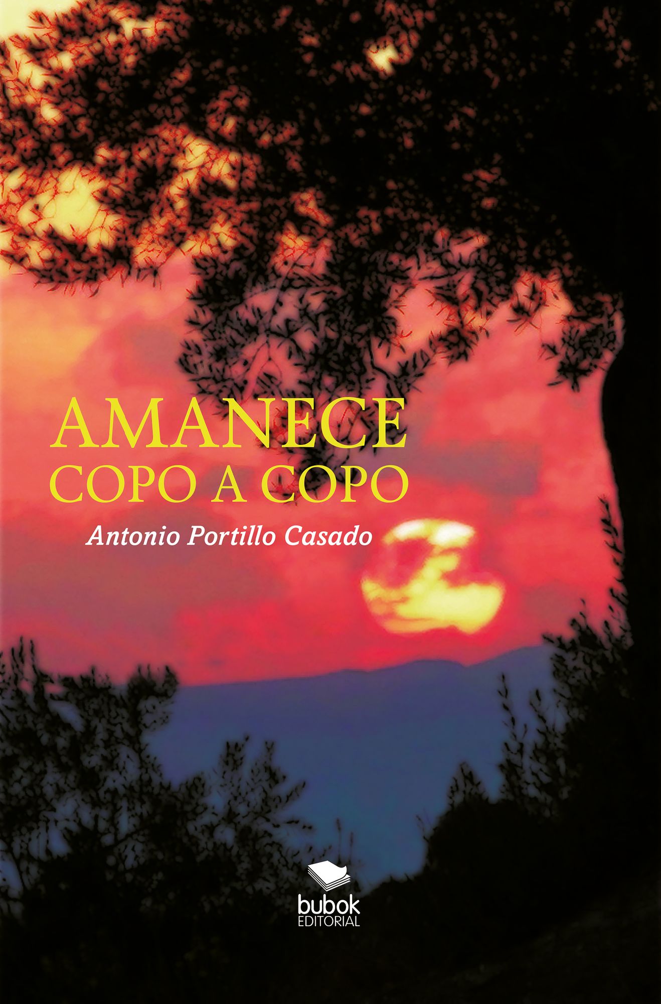 AMANECE COPO A COPO