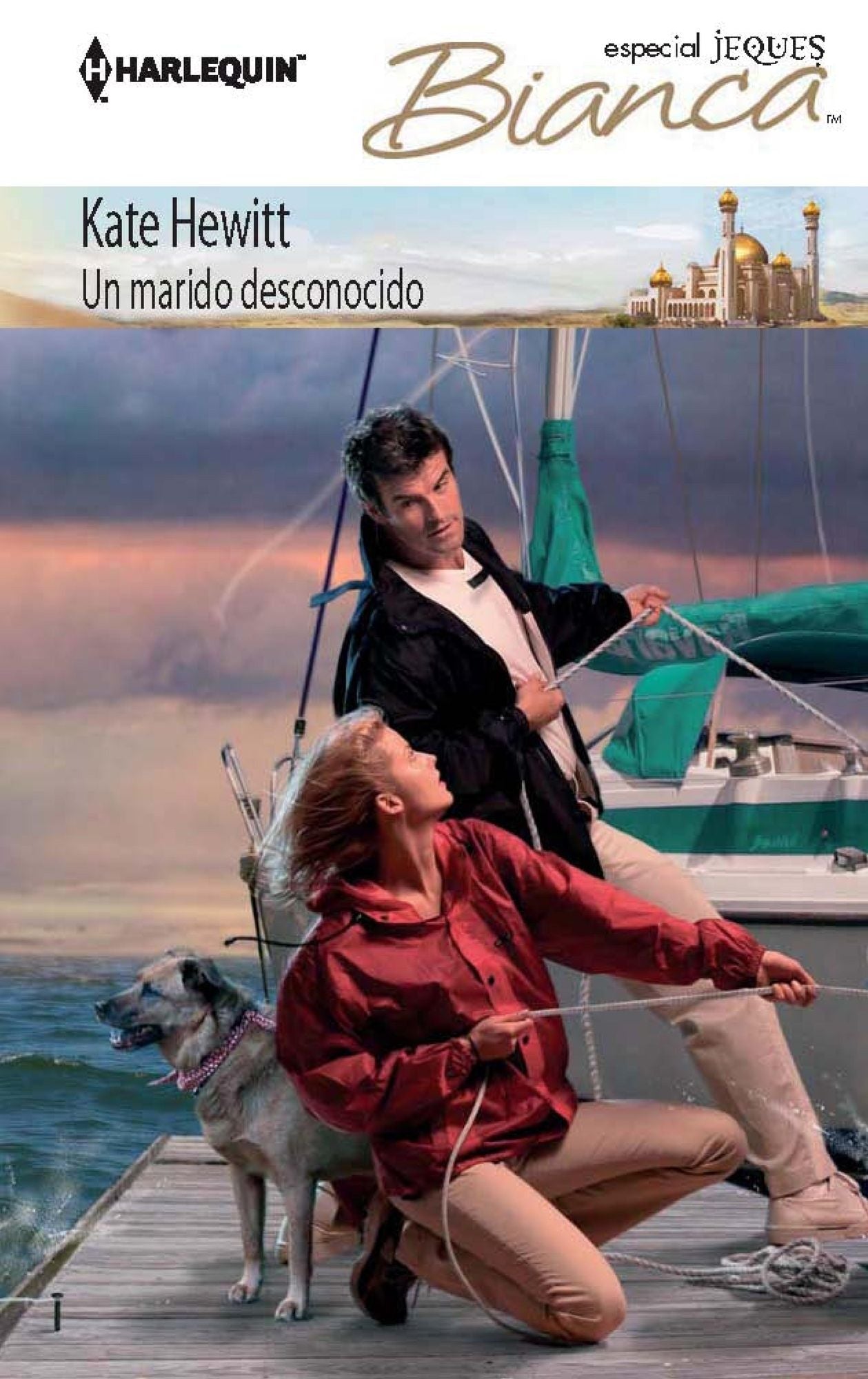 Un marido desconocido (The Husband She Never Knew) (Harlequin Bianca Series #910)