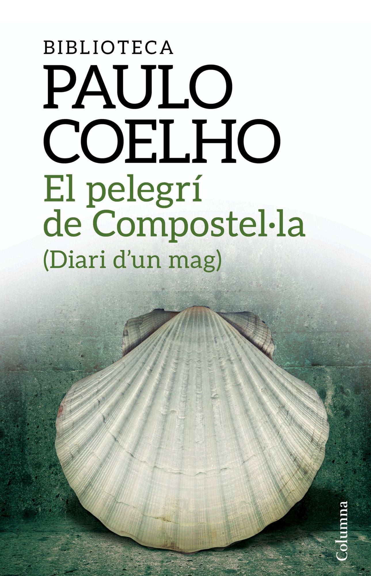 El pelegrí de Compostel*la: Diari d'un mag