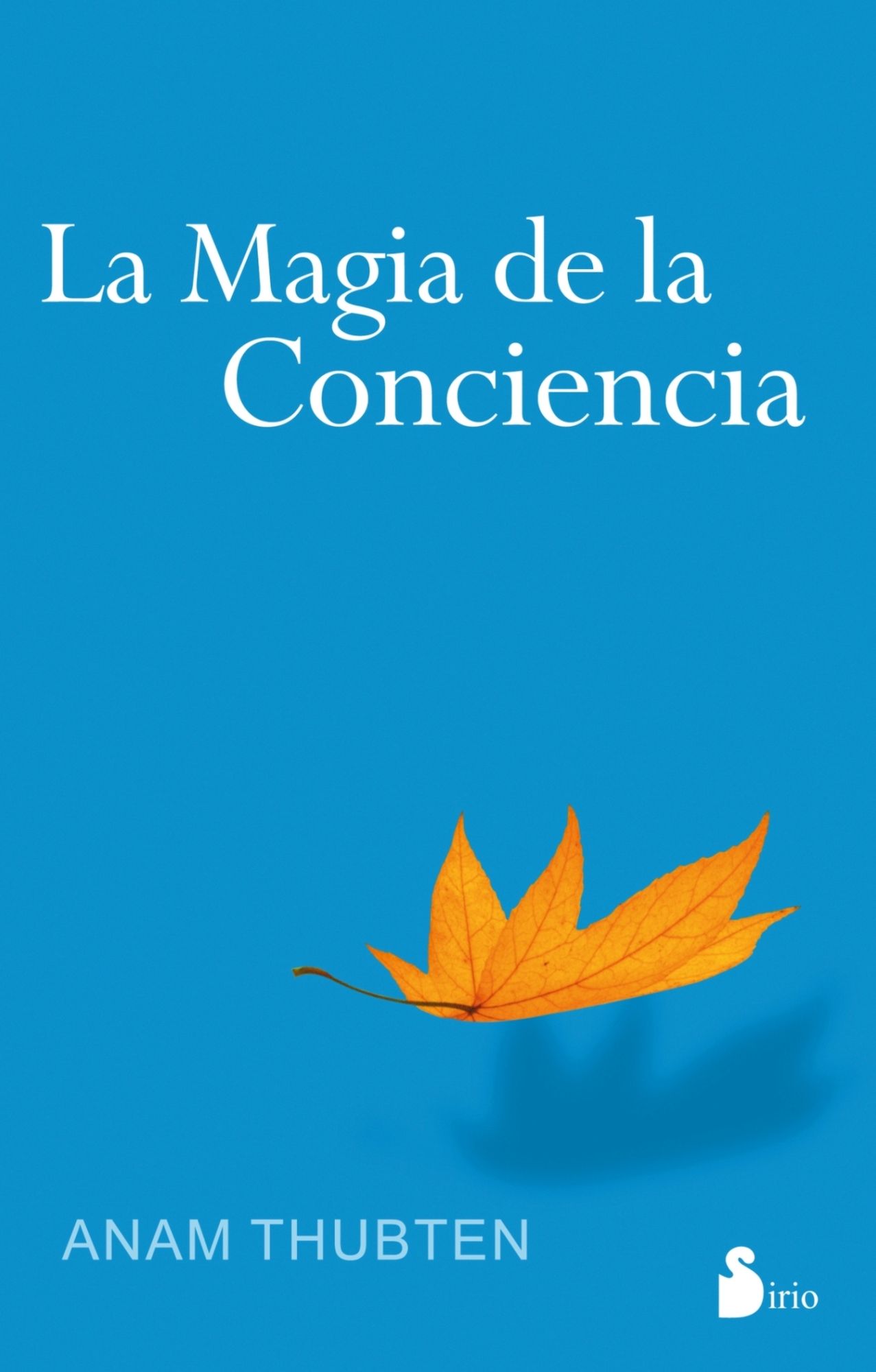 Magia de la conciencia