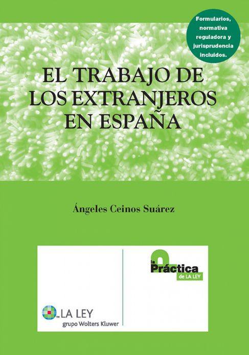 El trabajo de los extranjeros en España