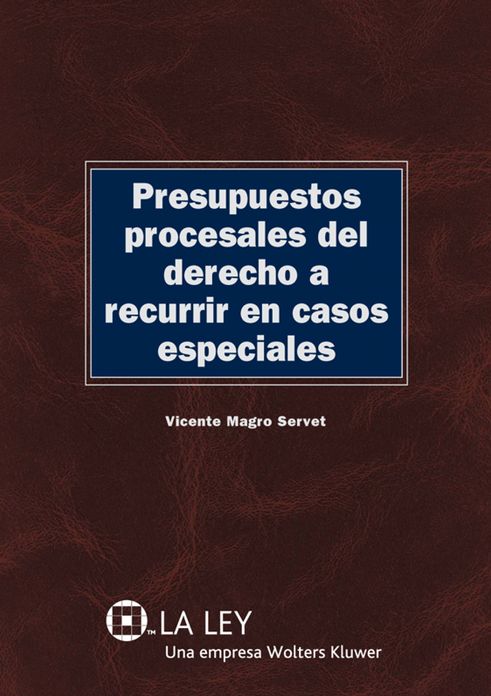 Presupuestos procesales del derecho a recurrir en casos especiales
