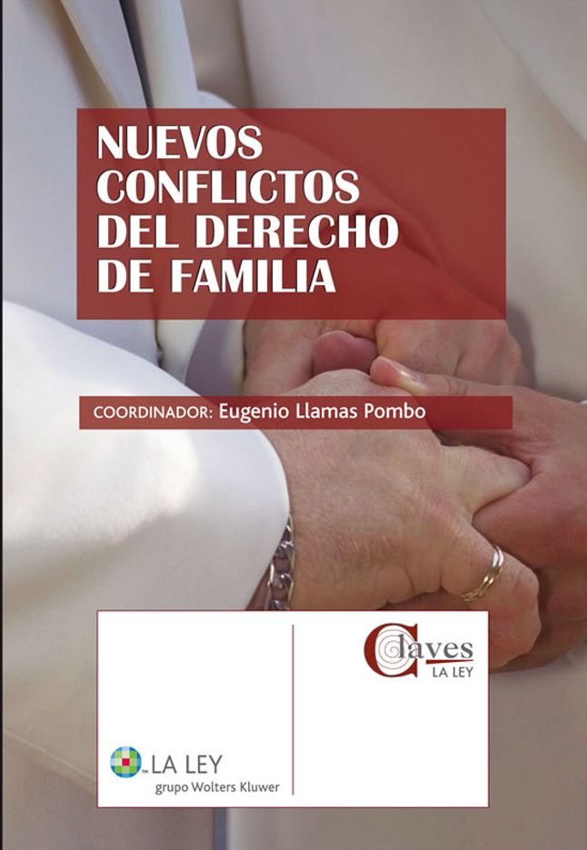 Nuevos conflictos del derecho de familia