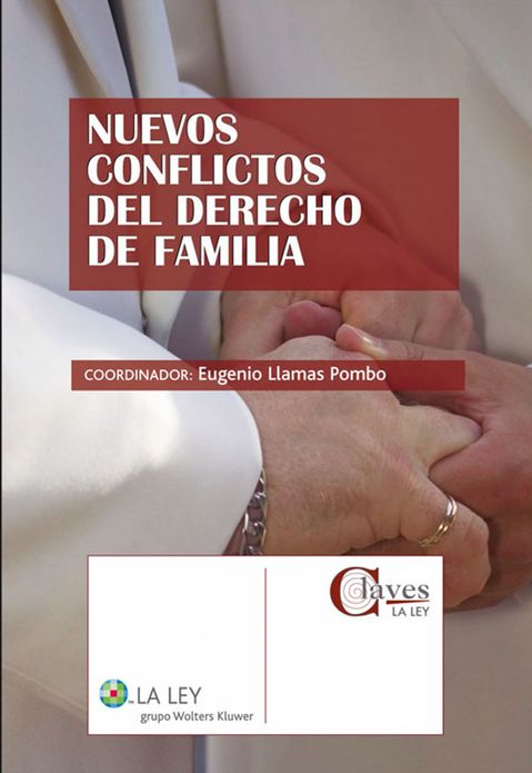 Nuevos conflictos del derecho de familia