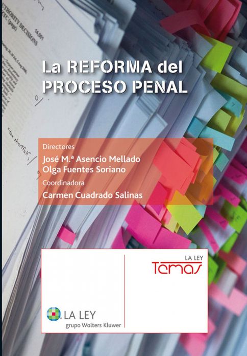 La reforma del proceso penal