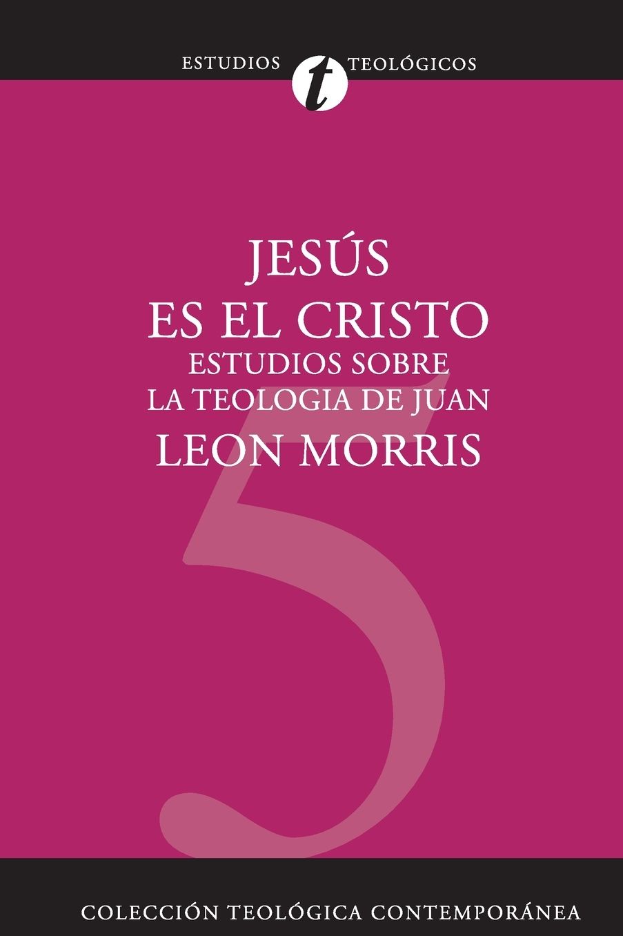 Jesus es el Cristo: Estudios sobre la Teologia de Juan