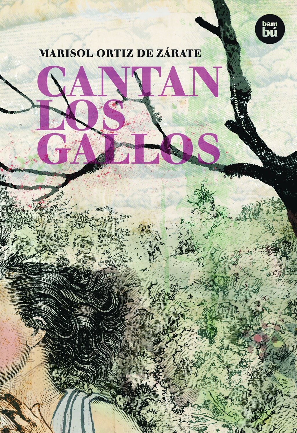 Cantan los gallos