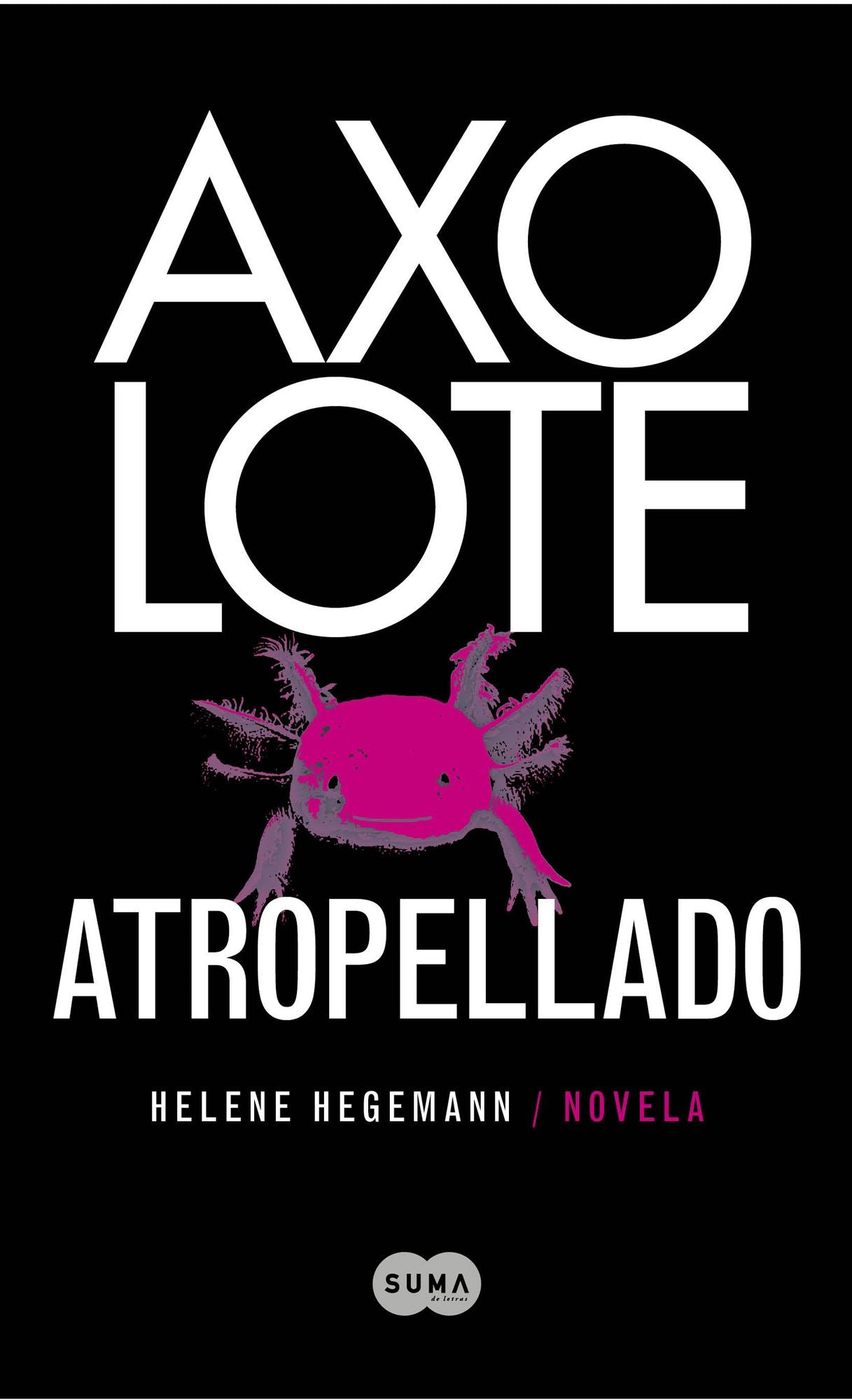 Axolote atropellado