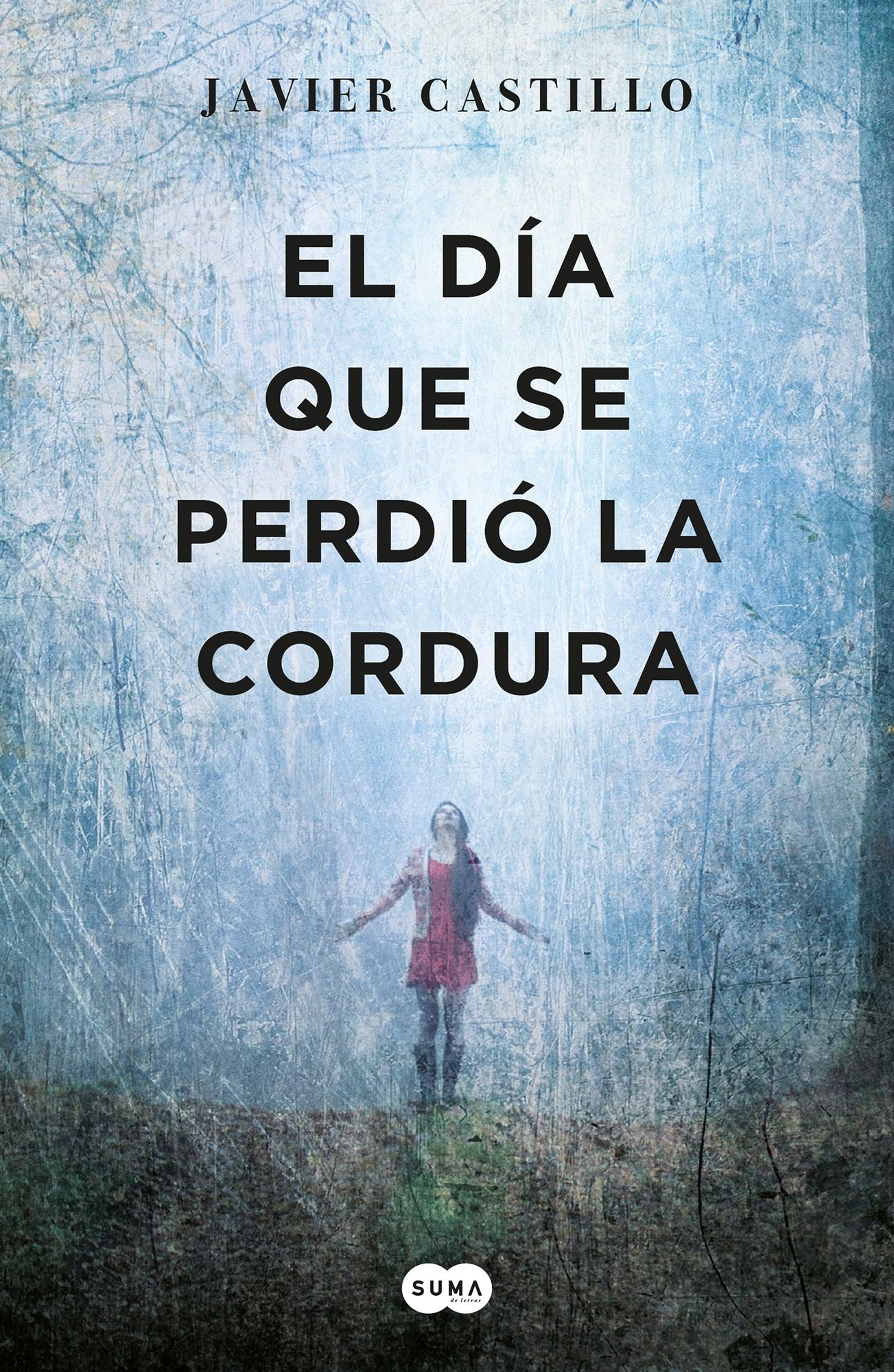 El Dï¿½a Que Se Perdiï¿½ La Cordura / The Day Sanity Was Lost