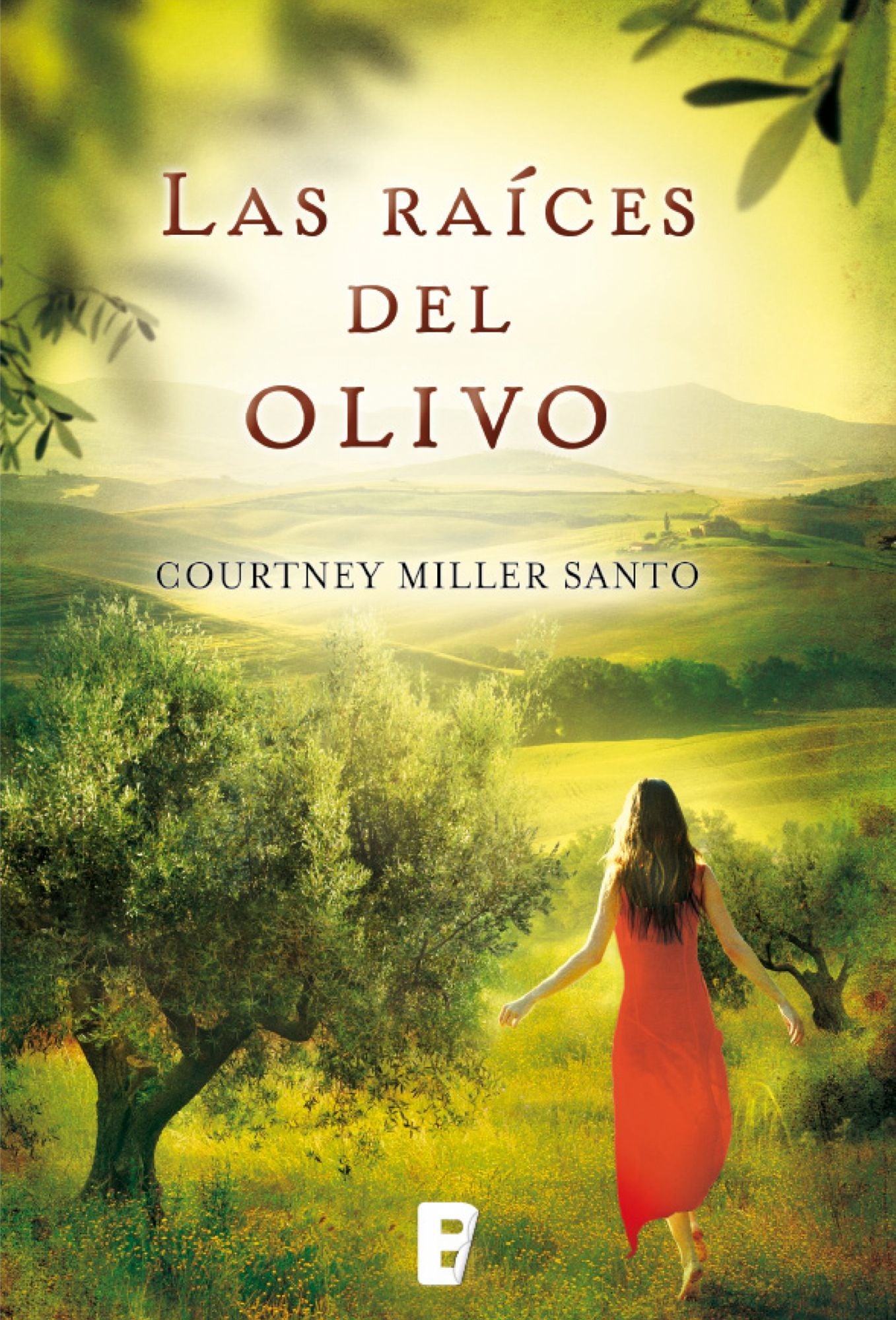 Las raíces del olivo