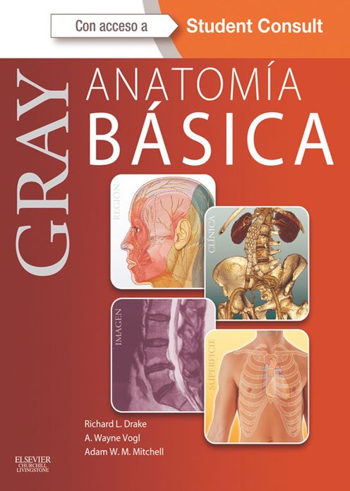 Gray. Anatomía básica + StudentConsult
