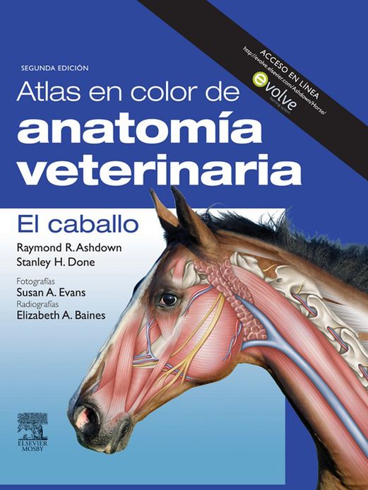 Atlas en color de anatomía veterinaria. El caballo + Evolve