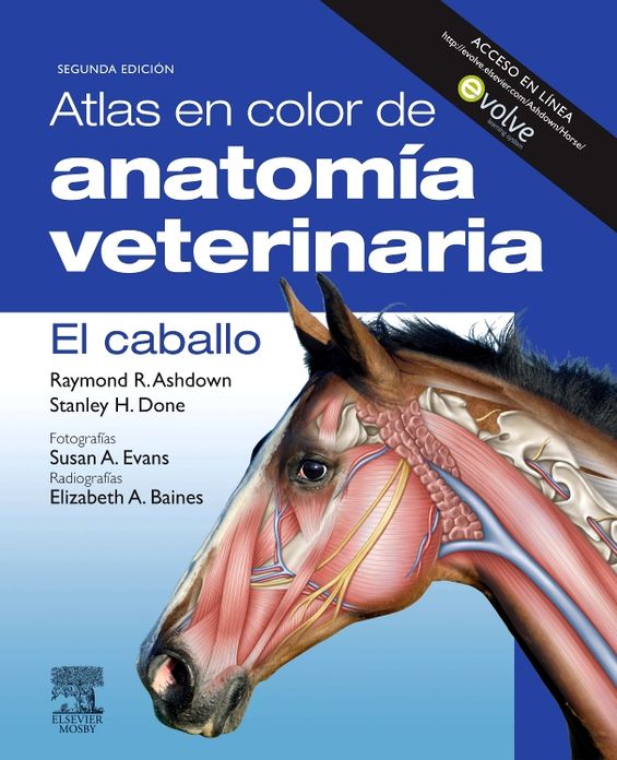 Atlas en color de anatomía veterinaria. El caballo + Evolve