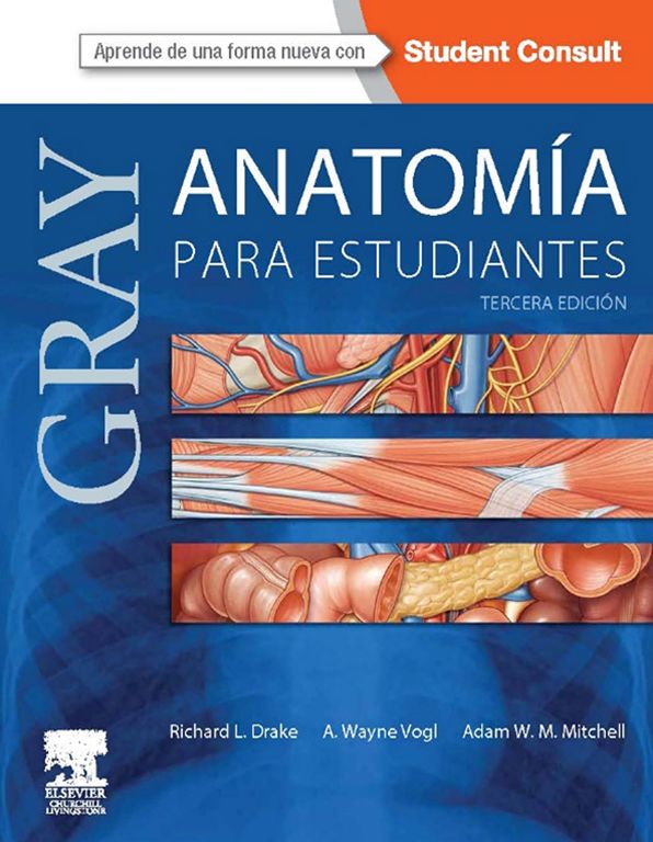 Gray. Anatomía para estudiantes + StudentConsult