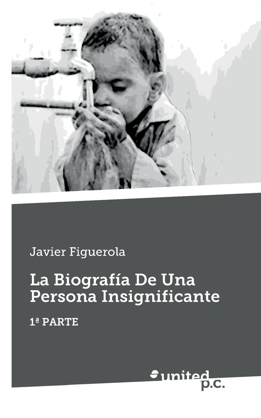 La Biograf a De Una Persona Insignificante