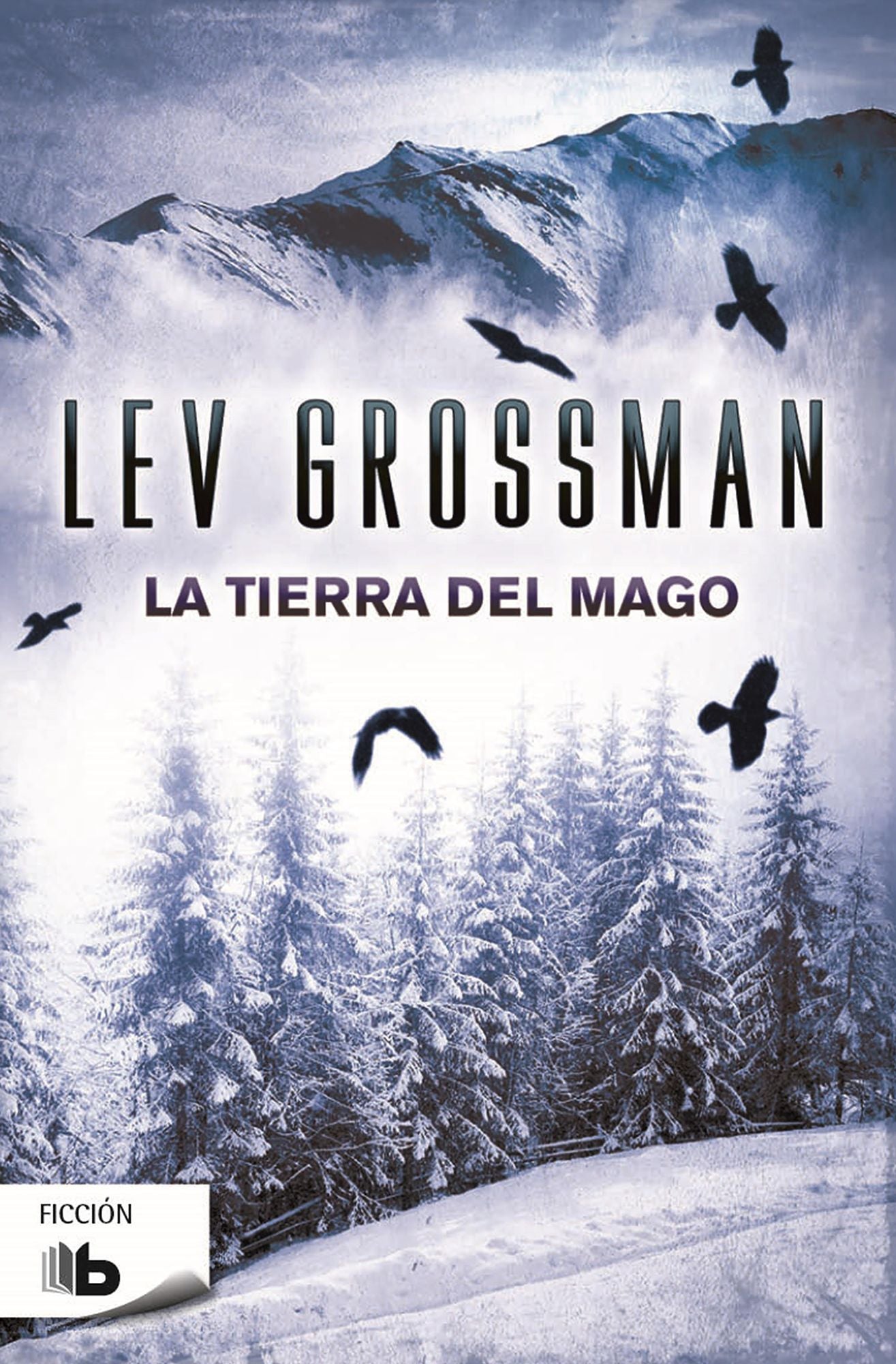 La tierra del mago (The Magician's Land)