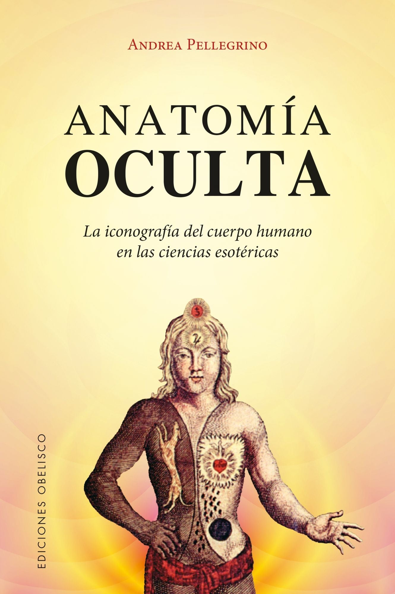 Anatomia oculta