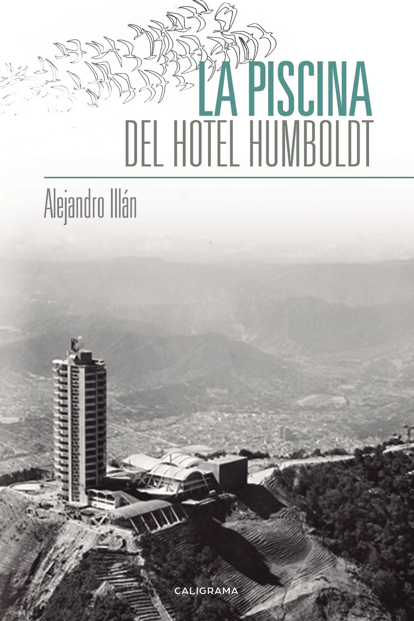 La piscina del Hotel Humboldt