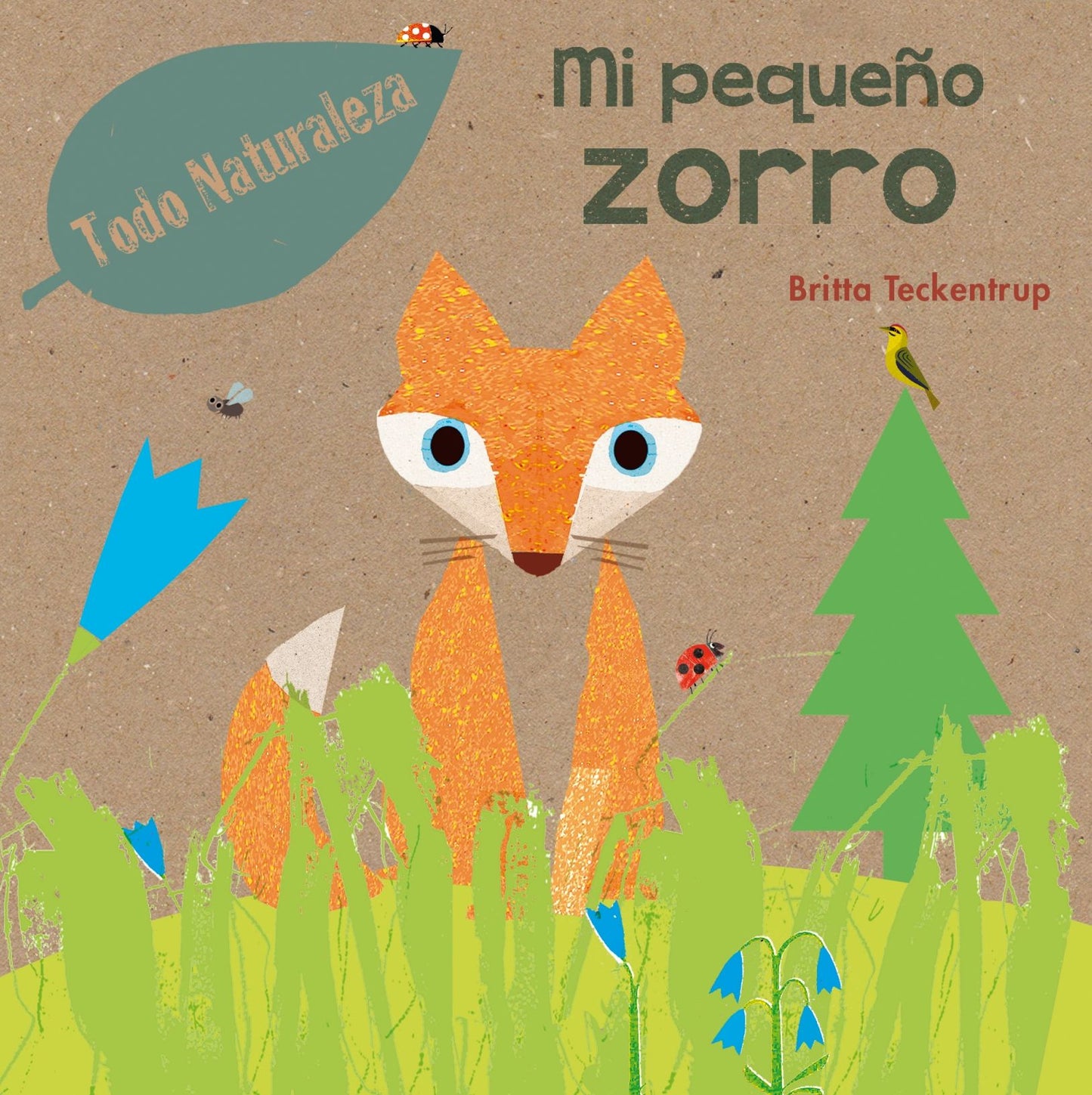 Mi pequeno zorro