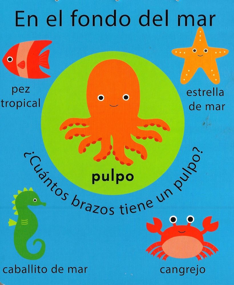 En El Zoo