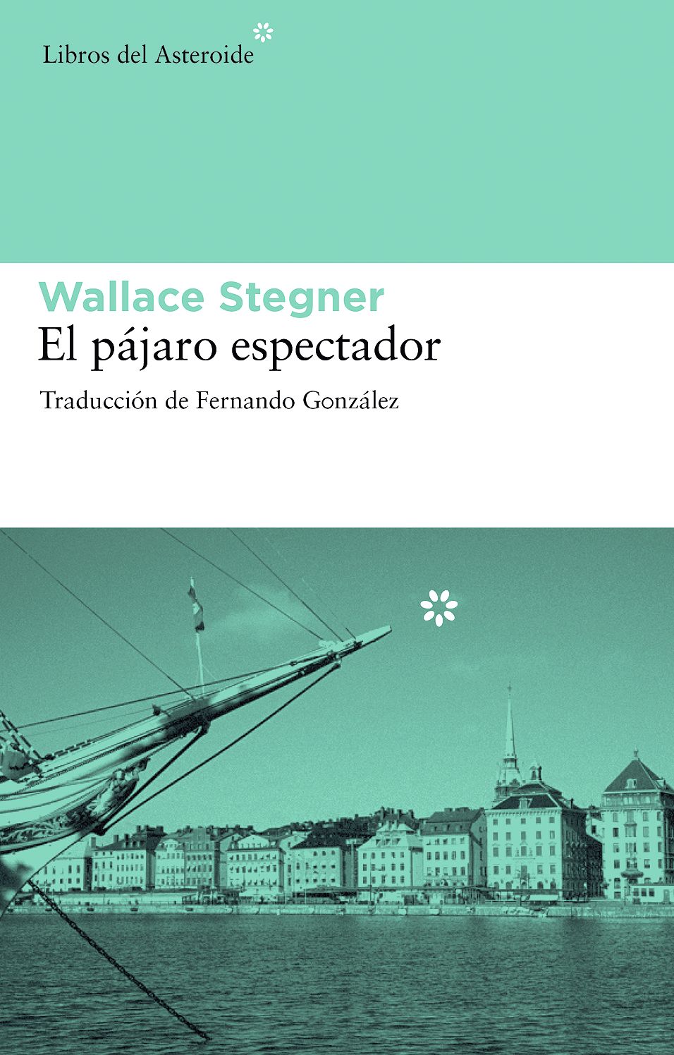 El pï¿½jaro espectador