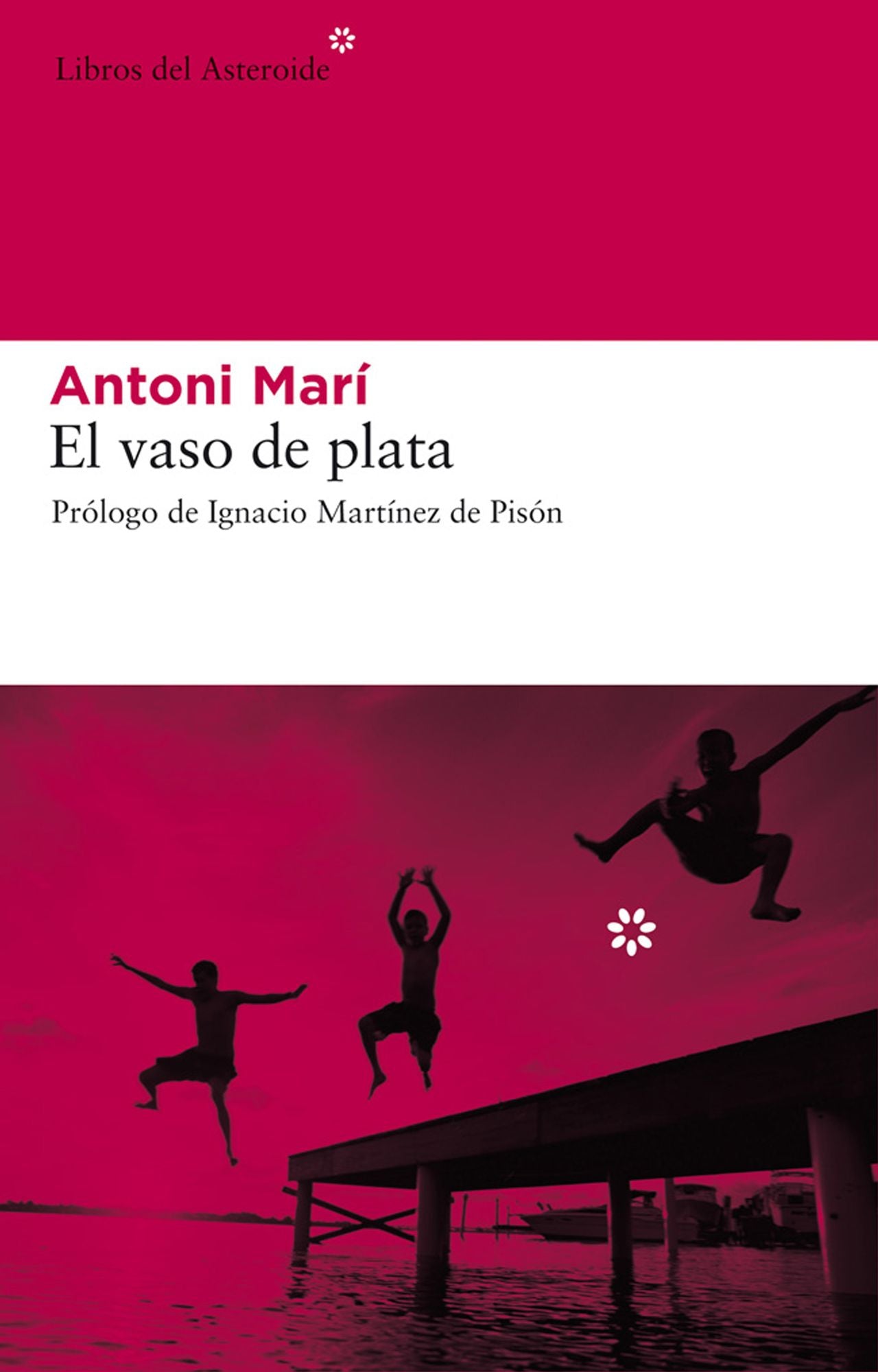 El vaso de plata