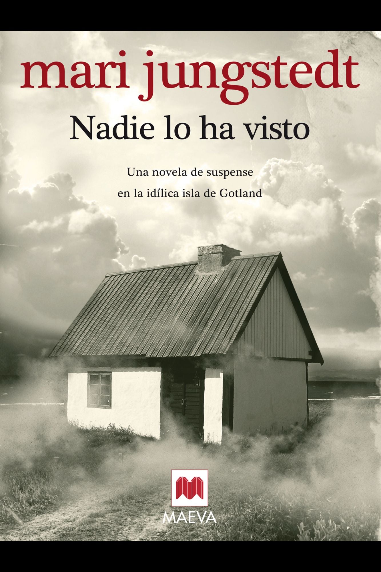 Nadie lo ha visto: (Gotland 1)