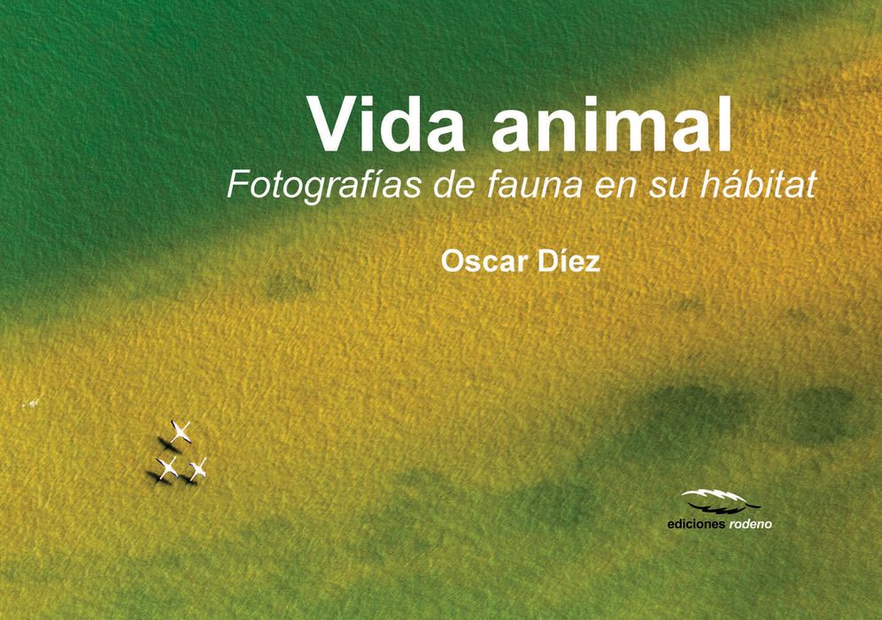 Vida animal: Fotogafias de fauna en su habitat