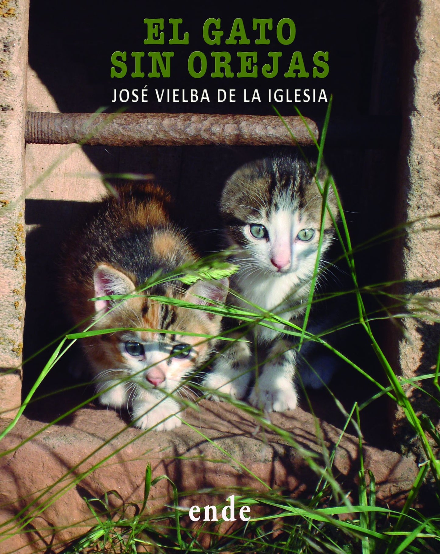 El gato sin orejas