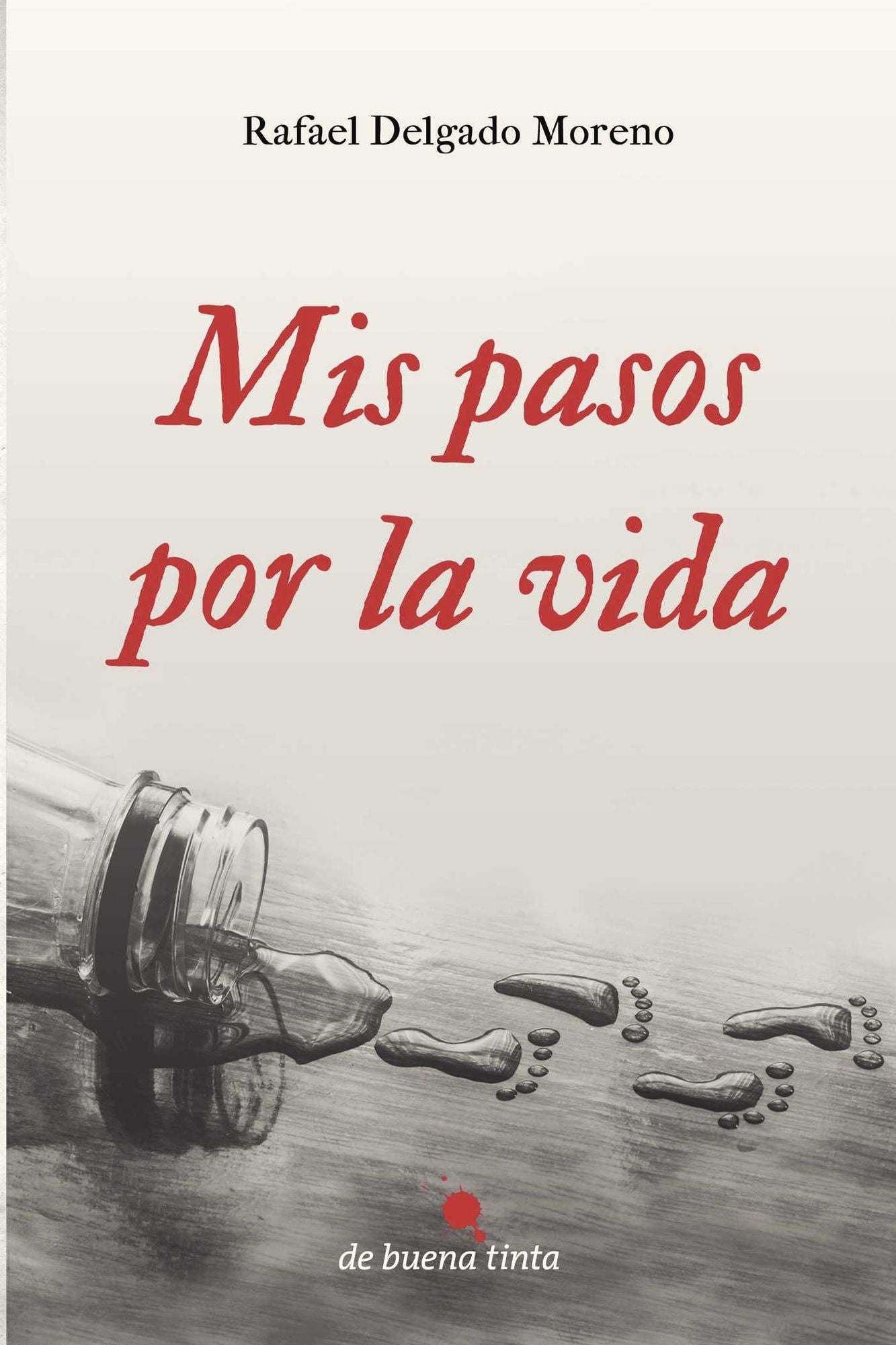 Mis pasos por la vida