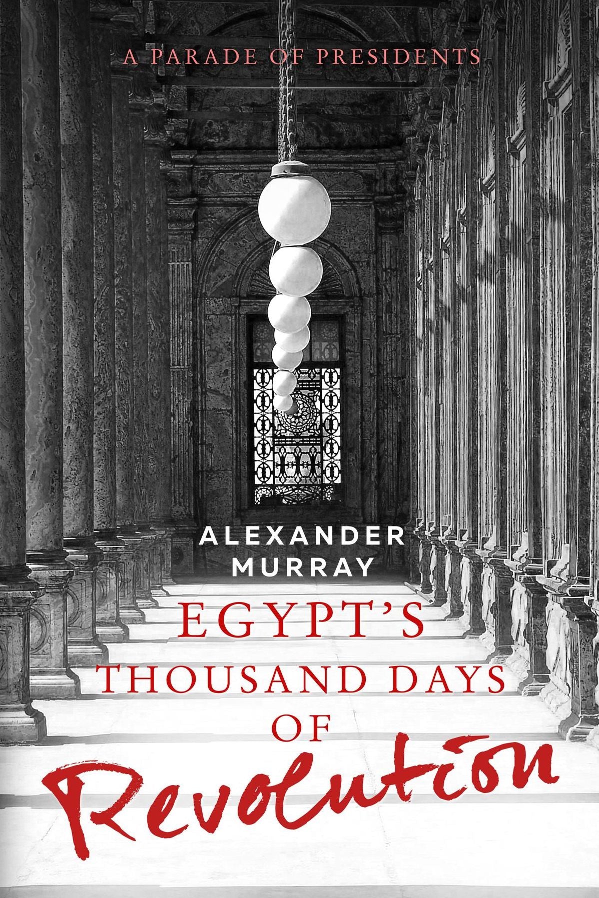 Egypt's Thousand Days of Revolution: A Parade of Presidents
