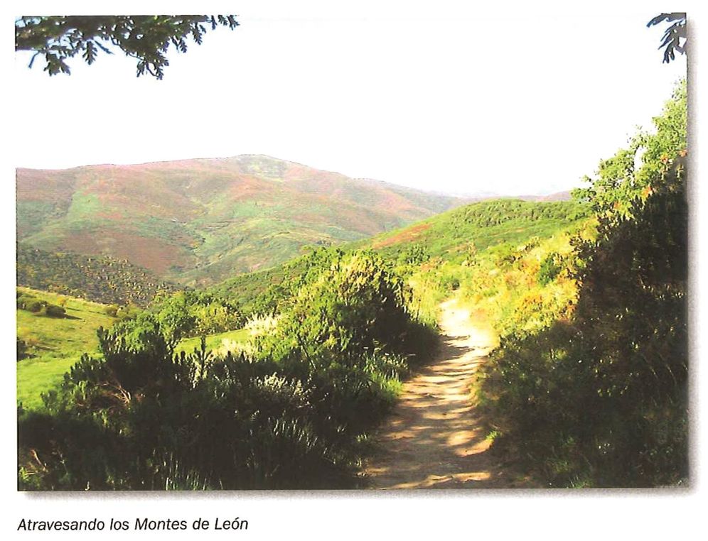 El Camino de Santiago: Desde Roncesvalles y desde Somport