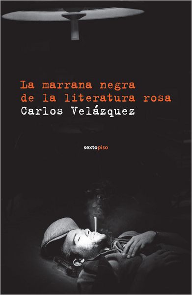 La marrana negra de la literatura rosa