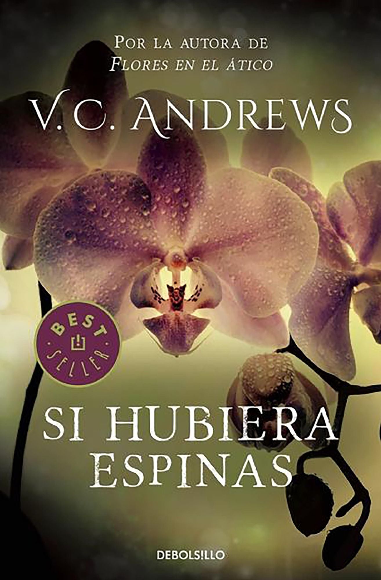 Si hubiera espinas (If There Be Thorns)