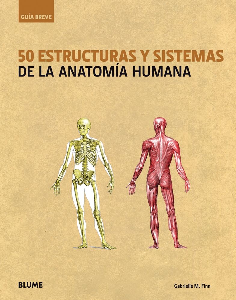 50 estructuras y sistemas de la anatomia humana