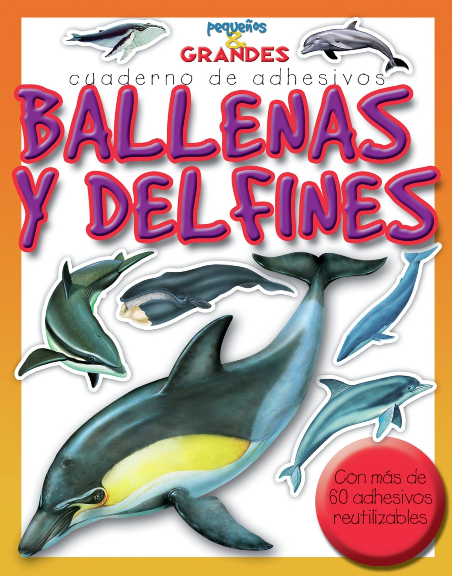 Ballenas y delfines