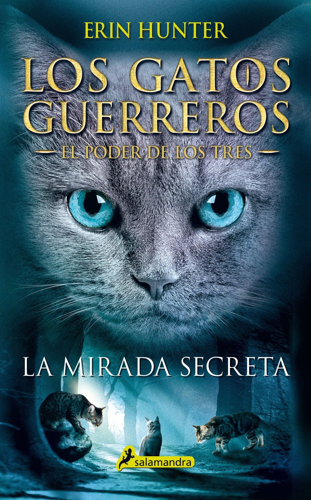 Mirada secreta (El poder de los tres 1)