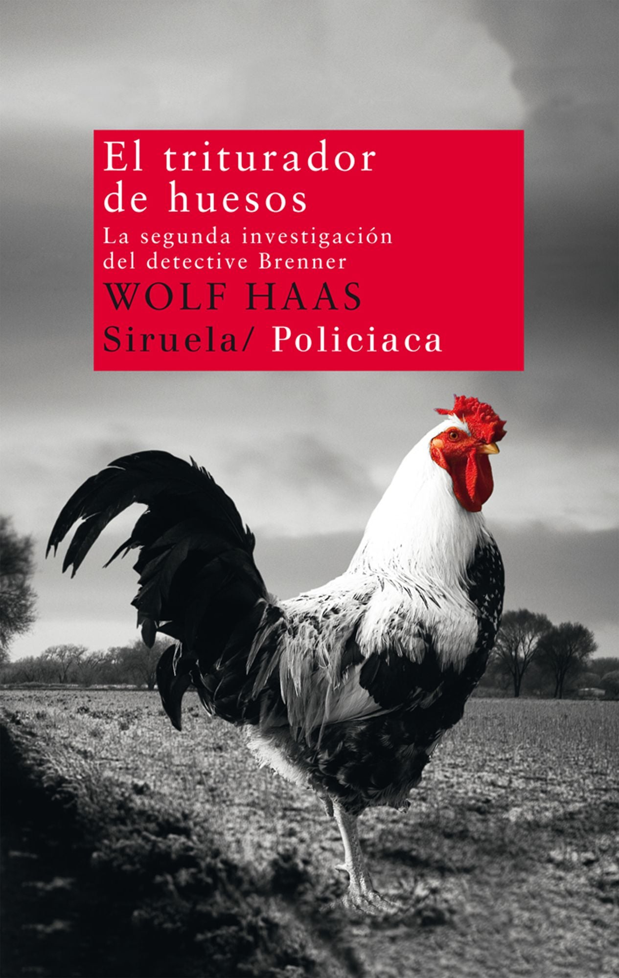 El triturador de huesos: La segunda investigación del detective Brenner