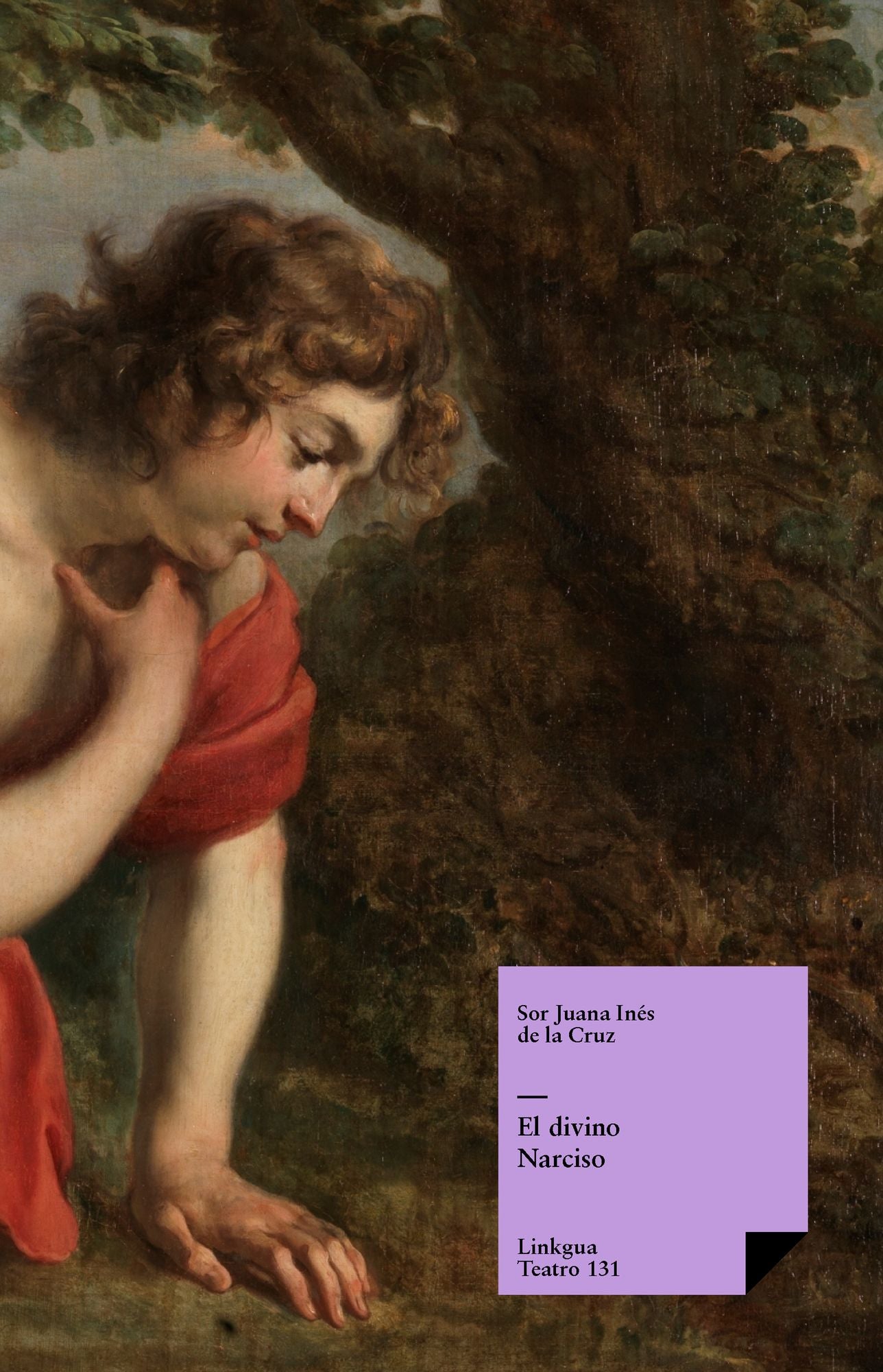 El divino Narciso