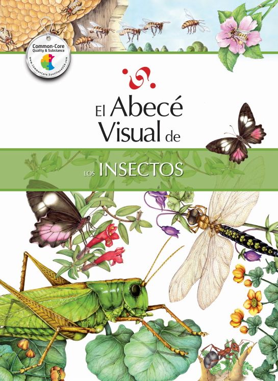 El abece visual de los insectos