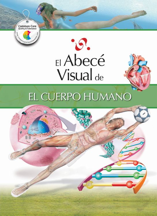 El abece visual del cuerpo humano