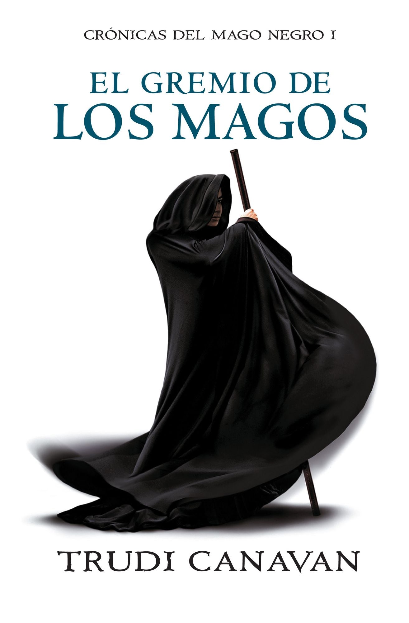 El gremio de los magos (The Magicians' Guild)