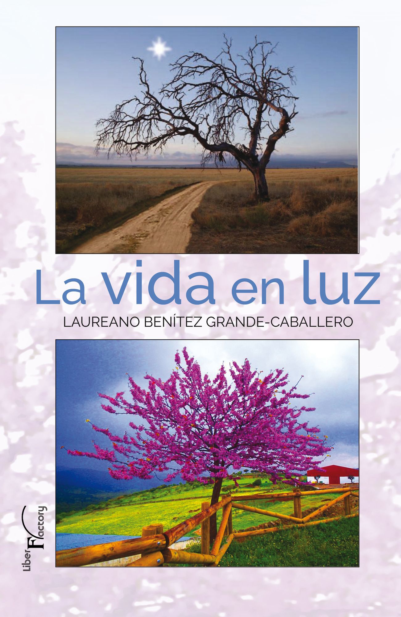 La vida en luz.